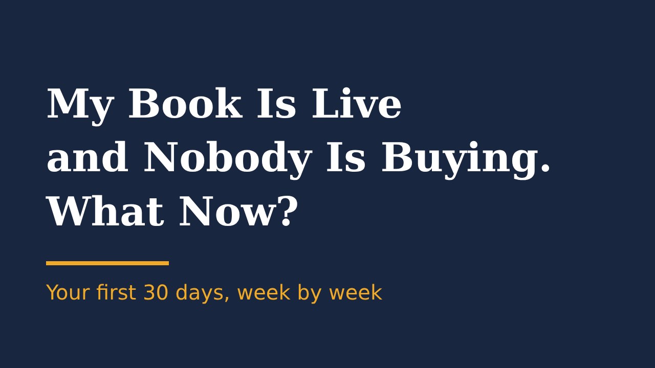 My book is live and nobody is buying. What now?